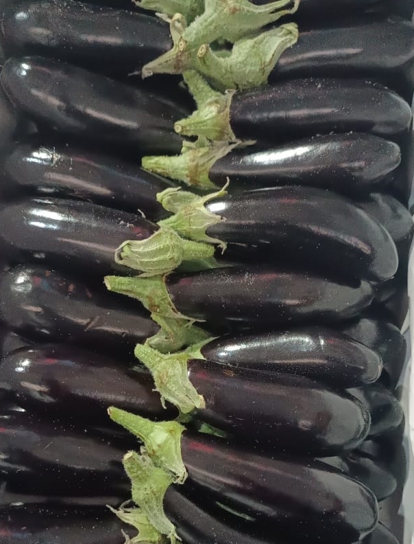 Badimcan Kicik