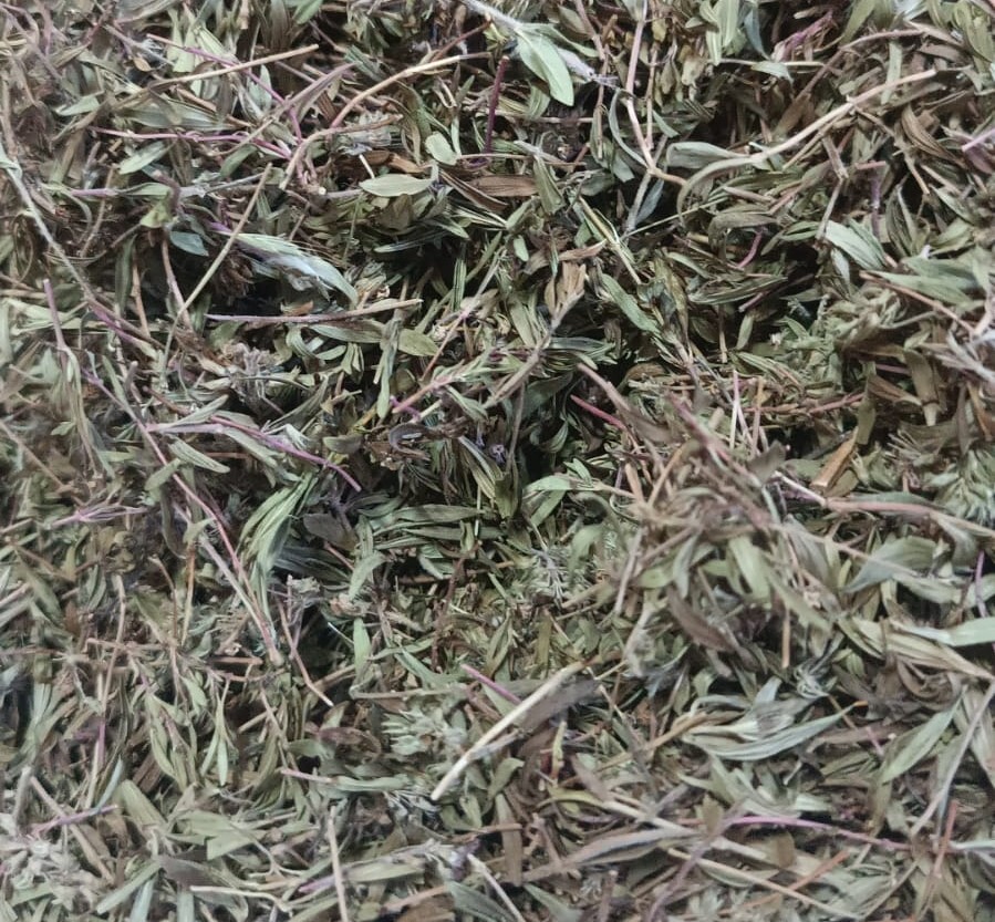 Keklikotu (Ismayilli)