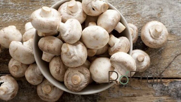Gobelek 500gr packa