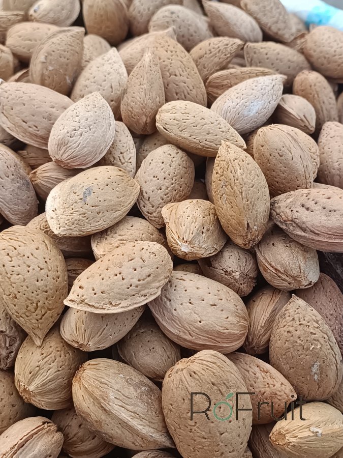 Badam Qabiqli