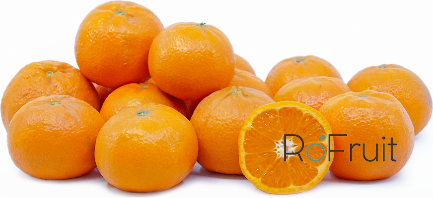 Mandarin  Murqut